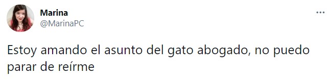 Tuit sobre abogado que quedó atrapado en un filtro de Zoom durante una audiencia