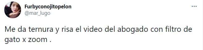 Tuit sobre abogado que quedó atrapado en un filtro de Zoom durante una audiencia