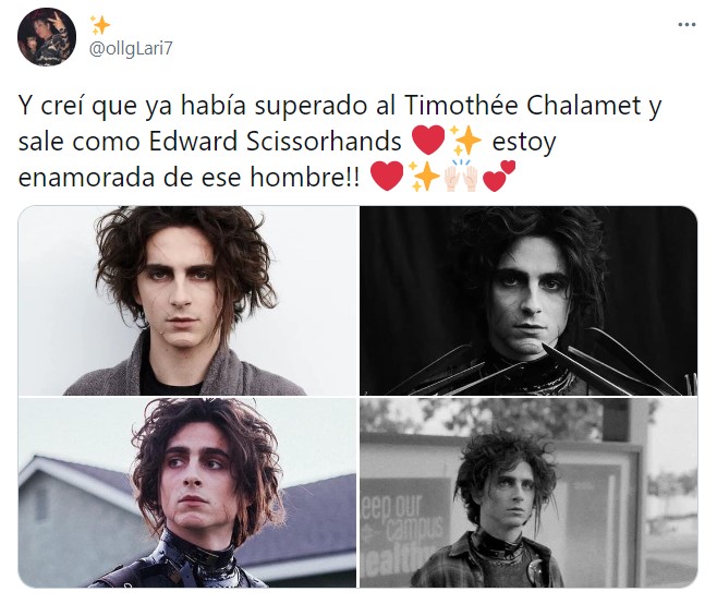 Tuit sobre Timothée Chalamet como el hijo de Edward Scissorhands; joven manos de tijera