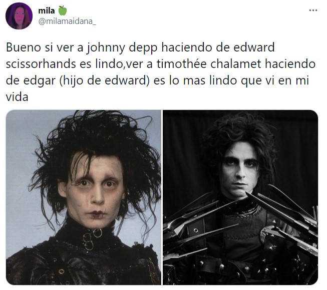 Tuit sobre Timothée Chalamet como el hijo de Edward Scissorhands; joven manos de tijera