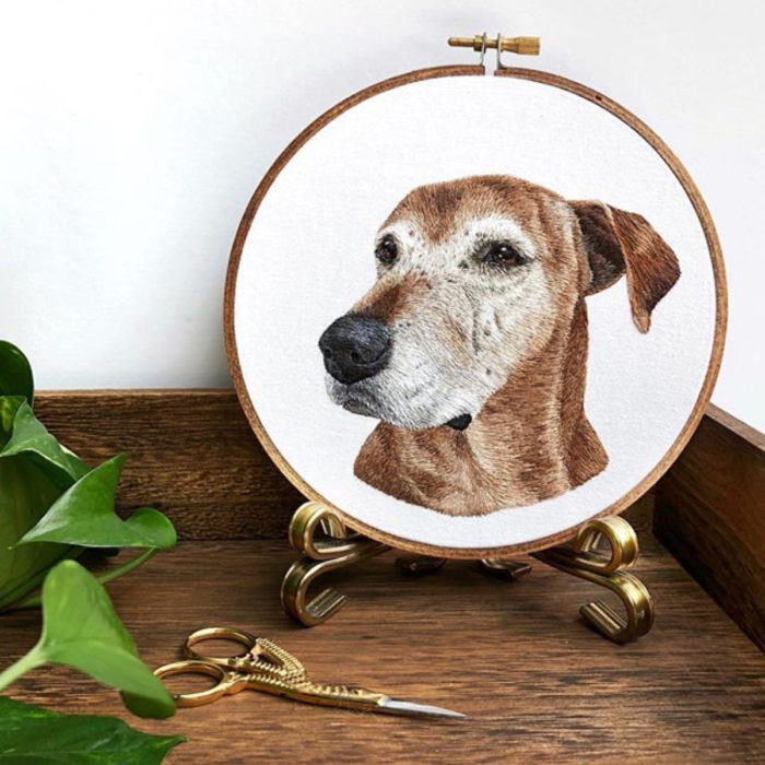 Bordado de perro viejito