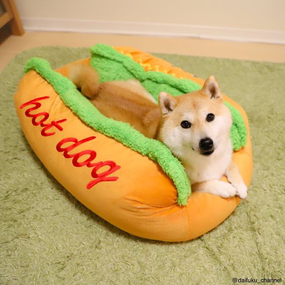 Cama de perro en forma de hotdog