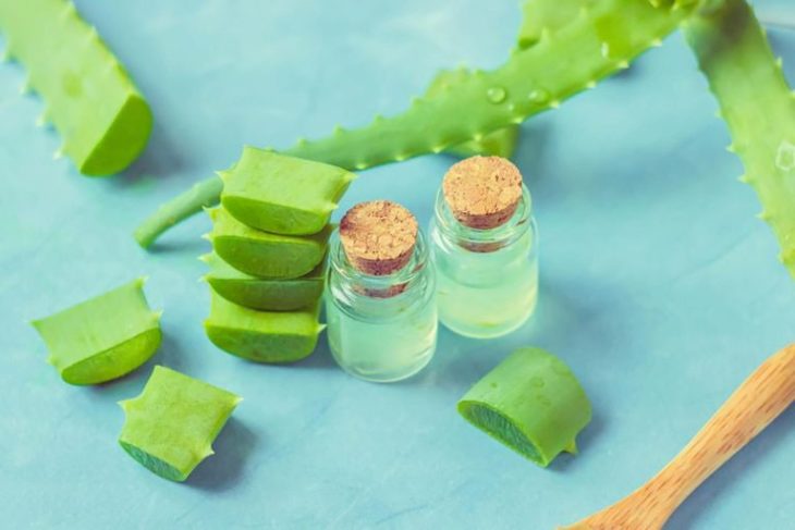 Botellas de cristal con sábila y sábila cortada en trozos
