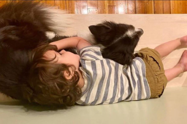 Pequeño abraza a su perro durante una tormenta eléctrica