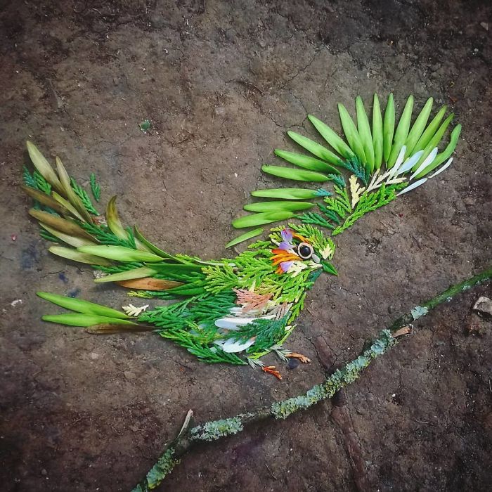 Hannah Bullen-Ryner retratos de aves con hojas