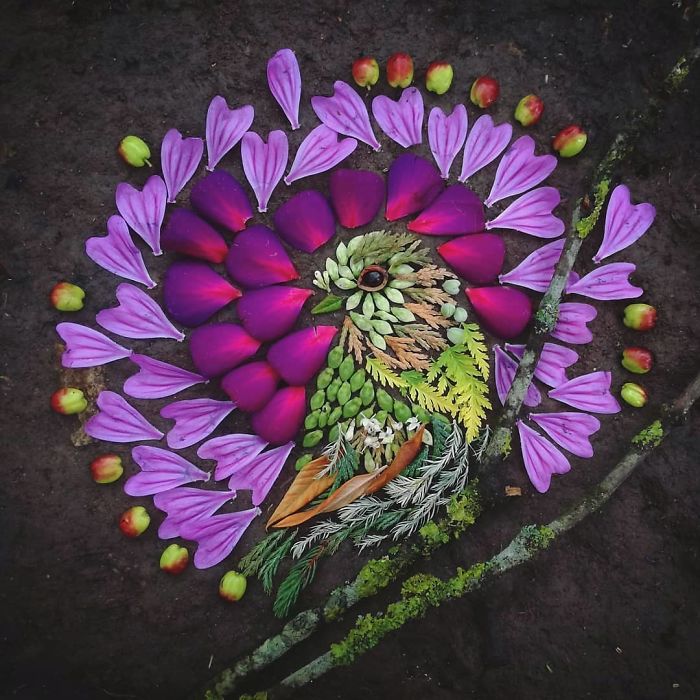 Hannah Bullen-Ryner retratos de aves con hojas