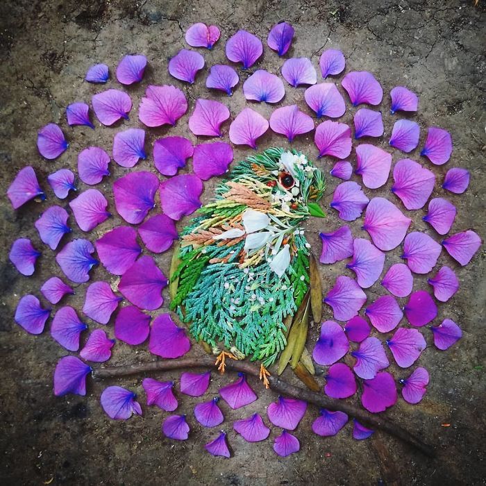 Hannah Bullen-Ryner retratos de aves con hojas