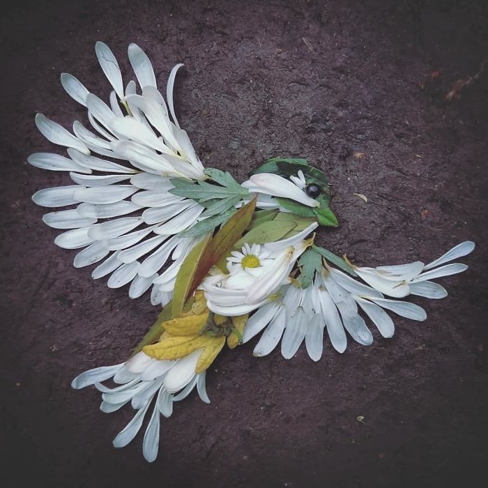 Hannah Bullen-Ryner retratos de aves con hojas