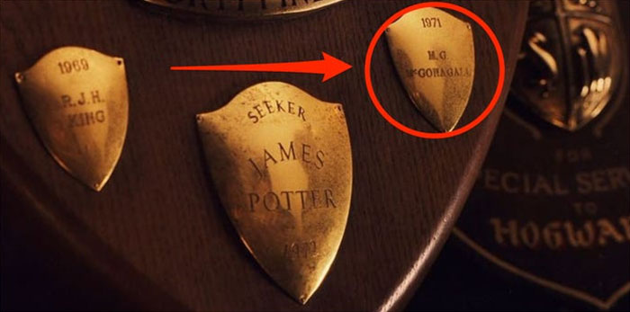 Placa de Mcgonagall como jugadora de quiditch en Harry Potter 