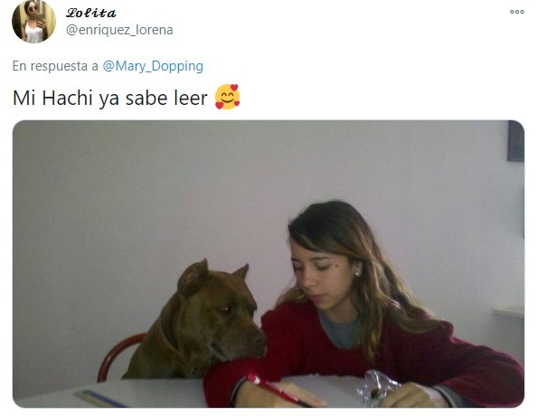 Perrito aprendiendo las letras