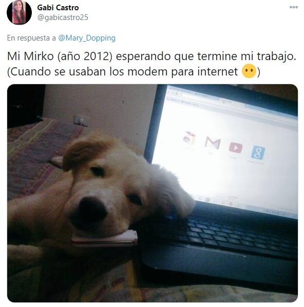 Perrito recostado sobre una laptop