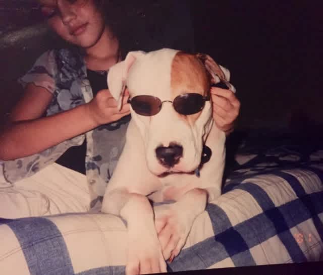 Perrita Libra