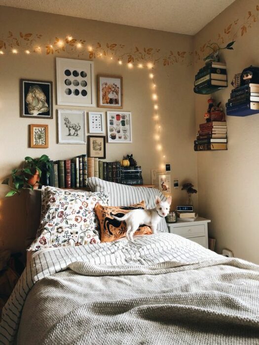 Habitación acogedora con cama blanca y un gato encima. Las paredes son blancas y atrás de la cama hay un mueble para ordenar libros y en la pared cuadros de diferentes tamaños con una serie de luces amarillas