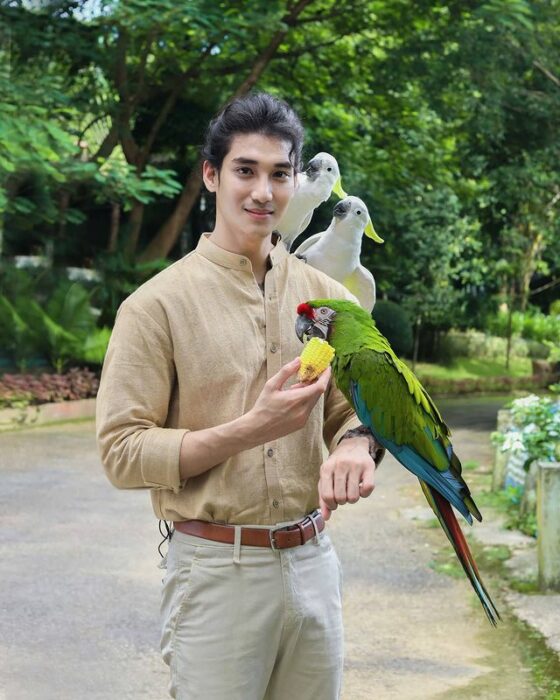 Paing Takhon sosteniendo una guacamaya en el brazo izquierdo vestido con camisa beige y pantalón blanco