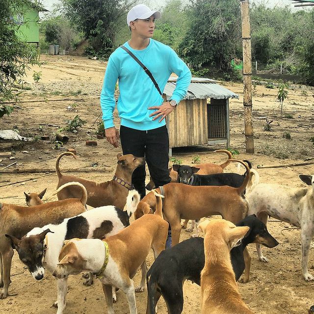 Paing Takhon rodeado de perritos callejeros, con camiseta azul