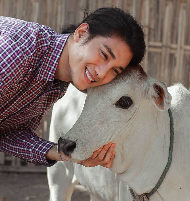 Paing Takhon con camisa roja de cuadros abrazando una vaca blanca