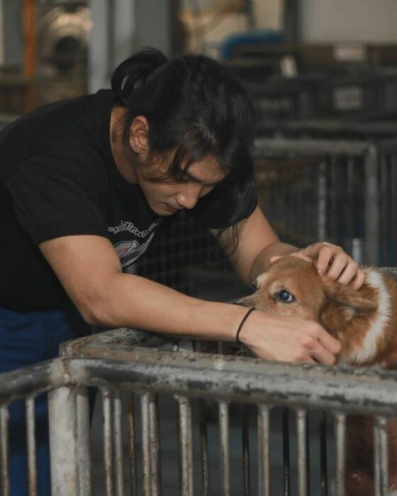 Paing Takhon acariciando un perrito café que se encuentra en una jaula, visto con camiseta negra