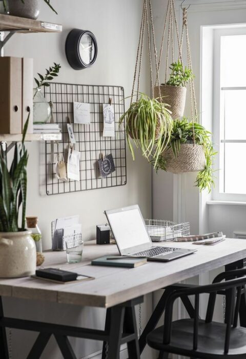 Espacio de trabajo decorado con varias macetas