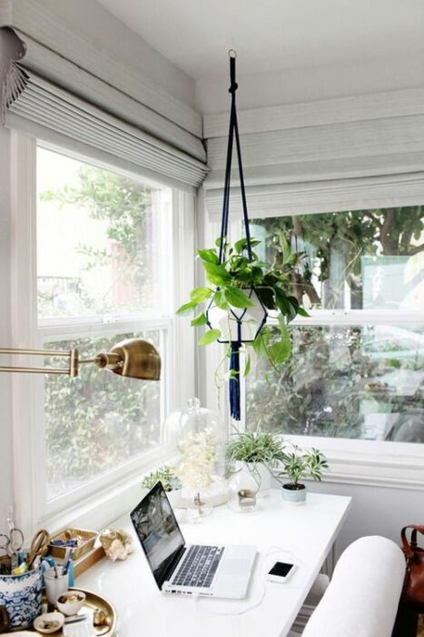 Espacio de trabajo decorado con una maceta colgante con planta