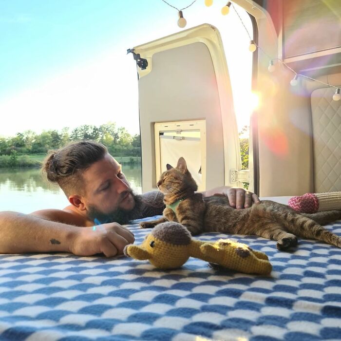 Hombre con barba acaricia a gato en la parte trasera de una furgoneta con tela de cuadros azules y blancos en el piso