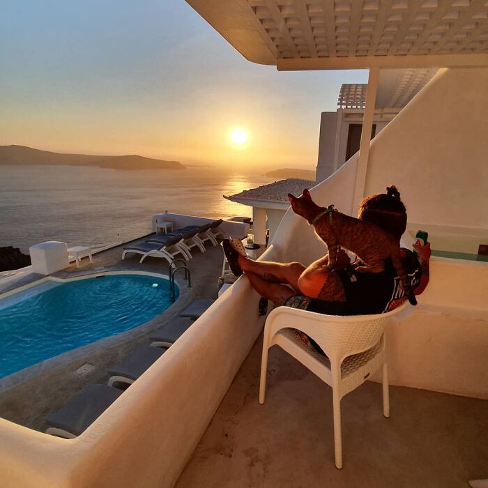 Hombre sentado en silla blanca con un gato café de rayas negras parado en su hombro miran el atardecer en un balcón con vista a una piscina y al mar