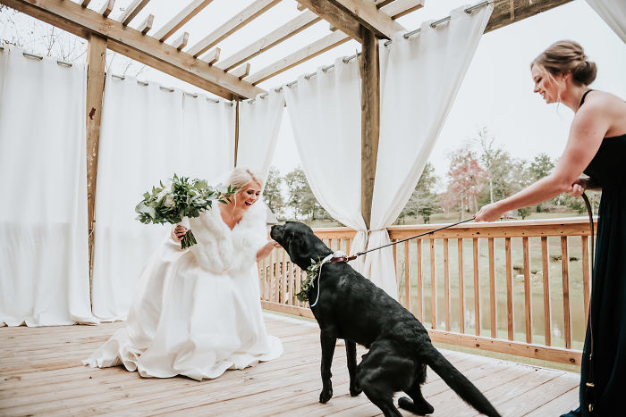 Perrito corriendo hacia su dueña vestida de novia mientras es sujetado por una de las damas de honor