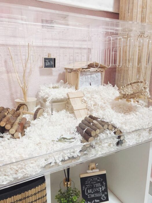 Jaulita para hámster, cuyo o erizo, construida con paredes de cristal y acondicionada con rueda y dos plantas de madera, y mucho aserrín