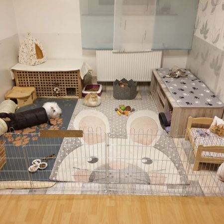 Casitas para cuyo o conejo hechas con rejas negras y tapizadas con alfombrillas específicas de conejo, con camitas y recipientes para comer