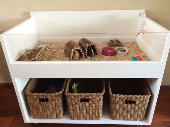 Terrario para cuyos elaborado con un mueble blanco y paredes de vidrio, canastas de mimbre en la parte inferior, y acondicionado con aserrín y casitas de palitos
