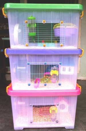 Terrarios para hámster hechos con cajas de plástico transparentes y rejas blancas, acondicionados con aserrín y juguetes de colores