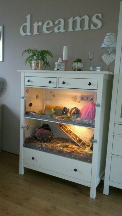 Terrario para hámster o cuyo hecho en un mueble blanco con paredes de vidrio, acondicionado con aserrín, dos plantas, y una escalera de madera