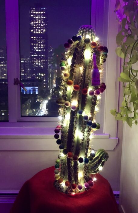 Cactus real cerca de una ventana blanca, decorado con luces amarillas y guirnalda de bolitas de colores
