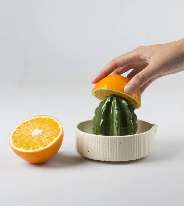 Utensilios bonitos y kawaii de cocina; exprimidor en forma de suculenta cactus, naranja partida a la mitad