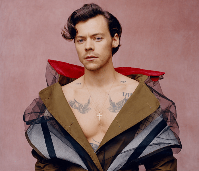 harry styles para vogue