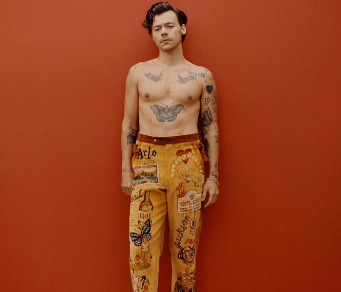 harry styles para vogue