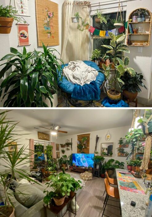 Sala con pared blanca, piso de madera, sillones grises y uno azul, además de macetas y plantas colgantes