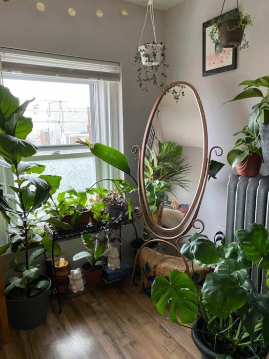 Amplia habitación blanca con una gran ventana, cortinas blancas, y un espejo ovalado junto a varias plantas decorativas en el suelo