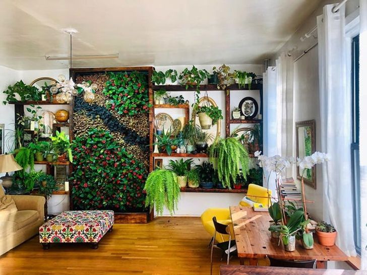 Habitación blanca con piso de madera y un muro decorado con plantas y estantes para macetas