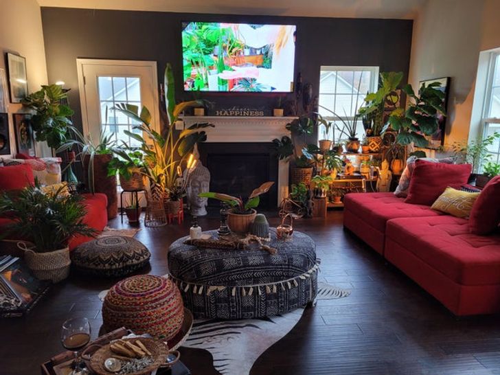 Ventana con estante lleno de macetas de cactus y plantas colgantes