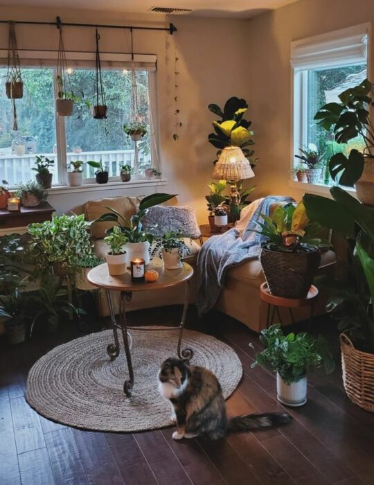 Amplia habitación blanca con una ventana, sillones marrones y una mesa redonda decorada con plantas