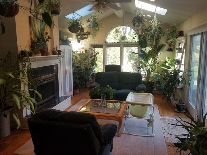 Sala con sillones negros, paredes blancas y piso de madera, decorada con plantas colgantes