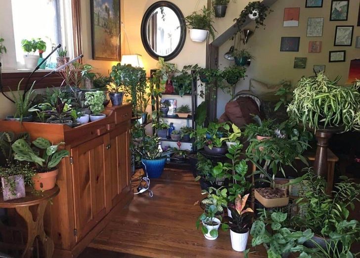 Jardín interior en habitación con piso y muebles de madera, además de un espejo ovalado en la pared