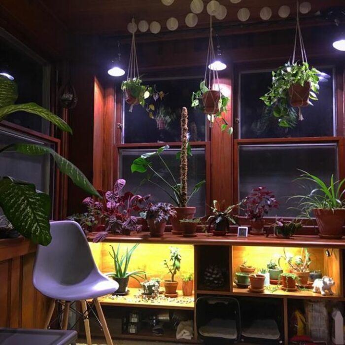 Plantas colgantes en habitación con gran ventanal, escritorio iluminado y una silla blanca