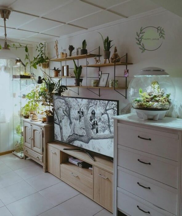 Habitación blanca con un mueble blanco y otro beige, pantalla grande y estantes llenos de plantas