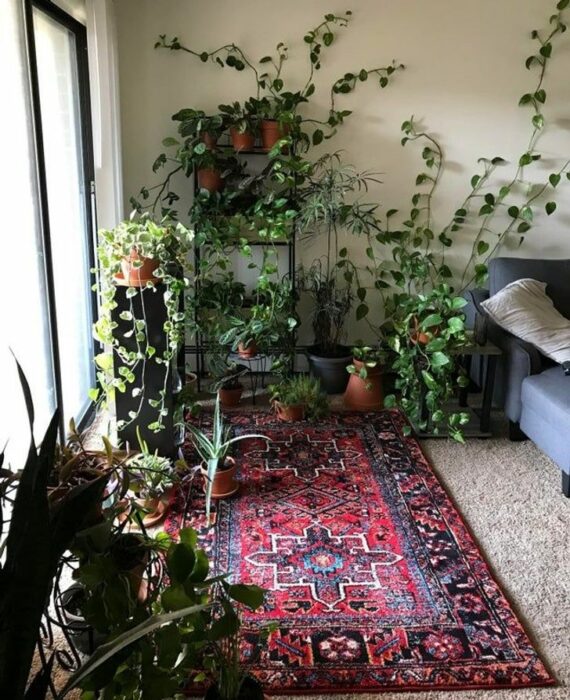 Jardín interior en habitación beige con alfombra roja y detalles morados