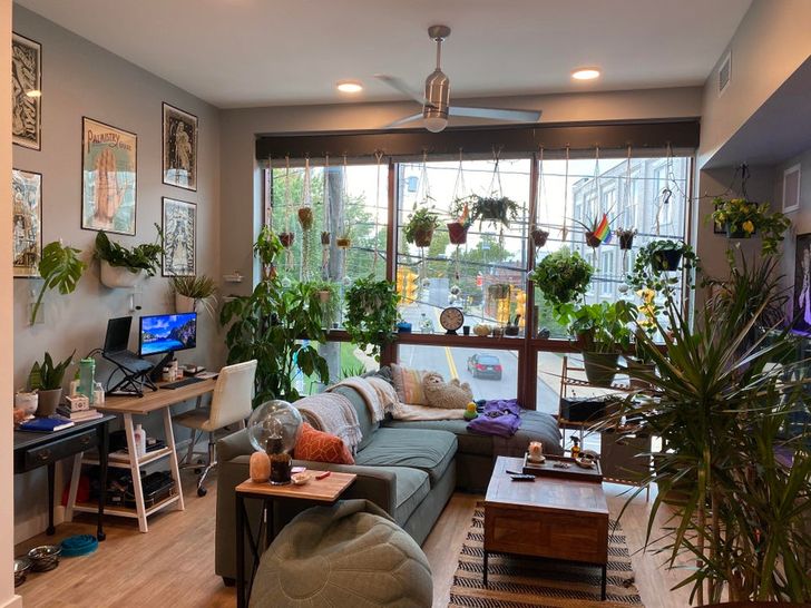 Plantas de interior en una amplia habitación cerca de una gran ventana con vista a la autopista