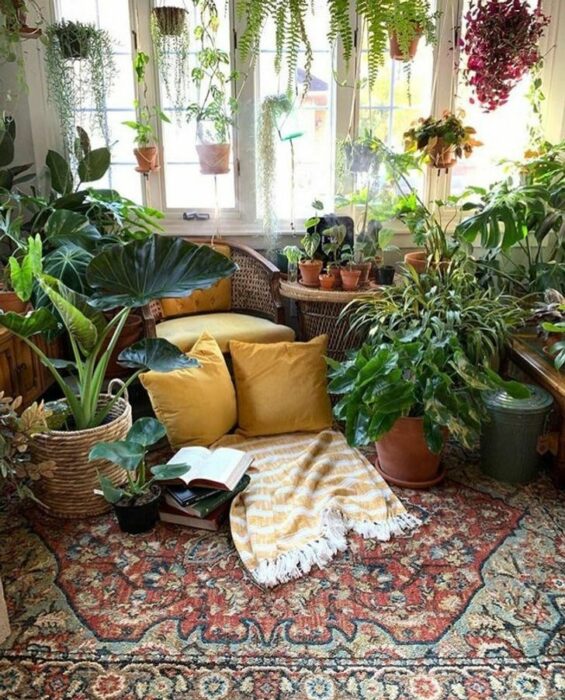 Habitación con alfombra roja, cojines amarillos y muchas plantas