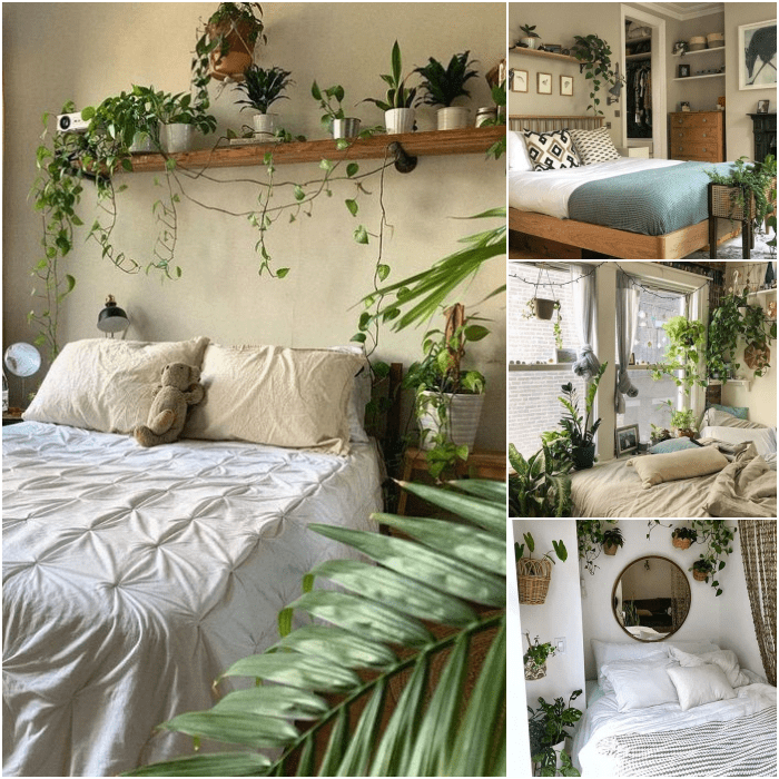 habitaciones en colores blancos y neutrales con macetas y plantas
