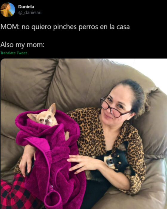 Memes de mamás latinas que no querían perros y terminaron amándolos; señora arrullando como bebé a sus perritos chihuahueños color miel y negro