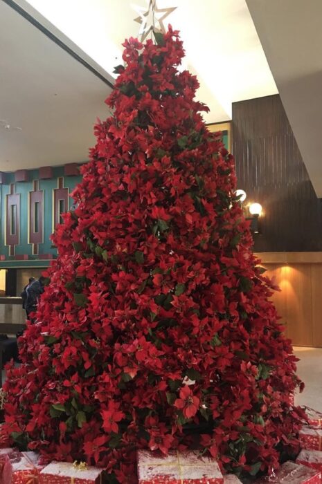 Árbol decorado con nochebuenas rojas